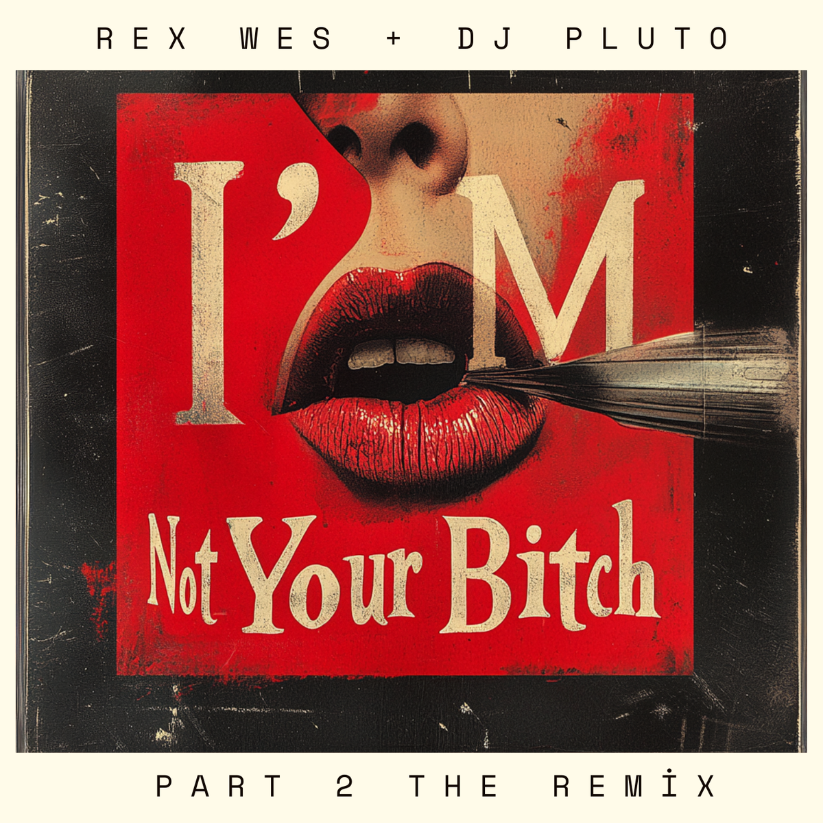 I'm Not Your Bitch DJ Pluto remix cover - Rex Wes electronic music NYC contemporary artist